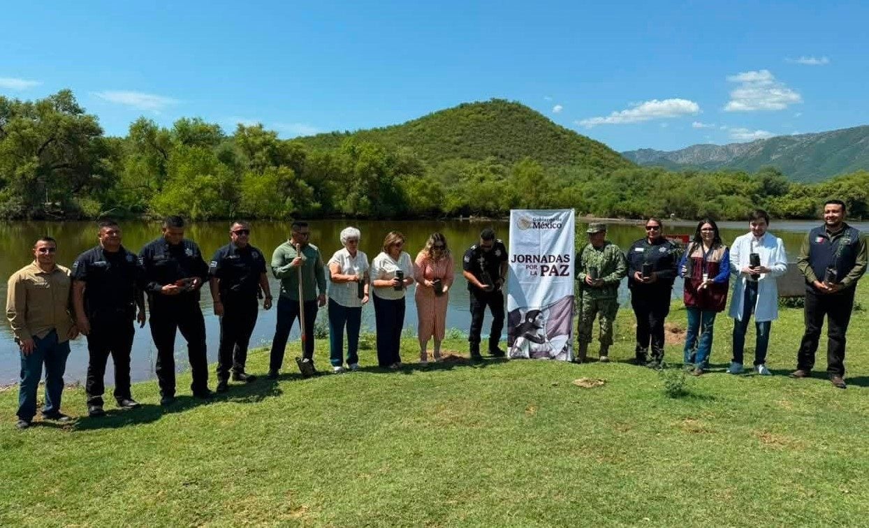 MESA DE PAZ Y SEGURIDAD REGIONAL