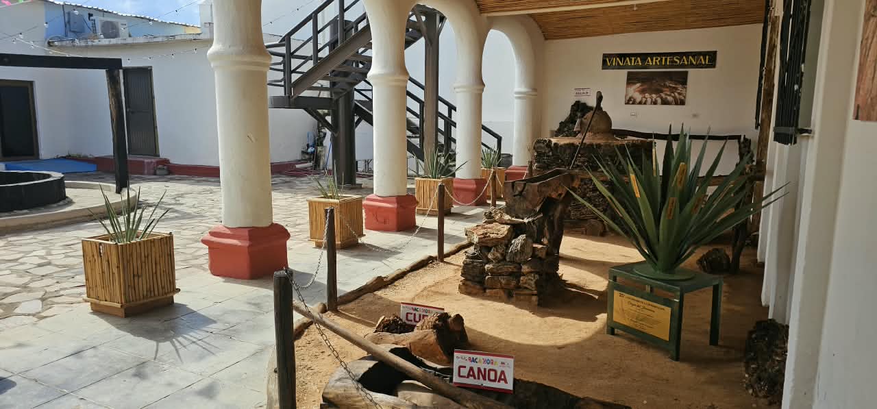Descubre la historia del Bacanora